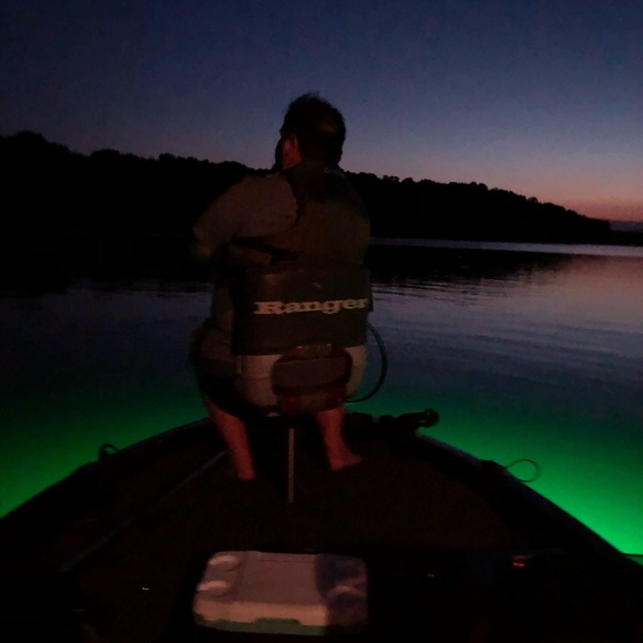 Meet your Posher, Cassidy - Picture 3 of 4